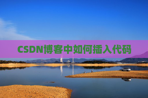 CSDN博客中如何插入代码